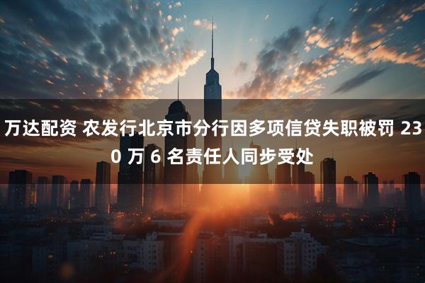 万达配资 农发行北京市分行因多项信贷失职被罚 230 万 6 名责任人同步受处