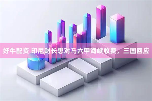 好牛配资 印尼财长想对马六甲海峡收费，三国回应